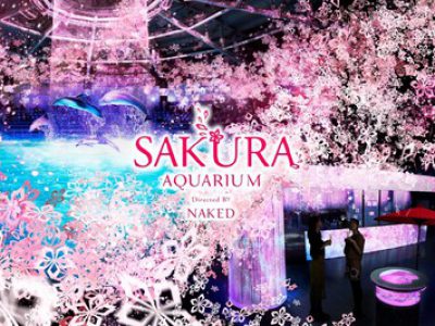 SAKURA AQUARIUM Directed BY NAKED